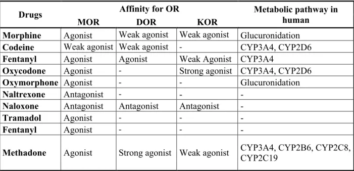 Table 3: Affinity of some of the commonly used opioids along with their metabolic pathway and  the effect produced (Smith &amp; Peppin, 2014)