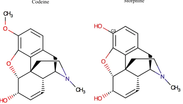 Figure 5: The molecular structures of codeine and morphine.  