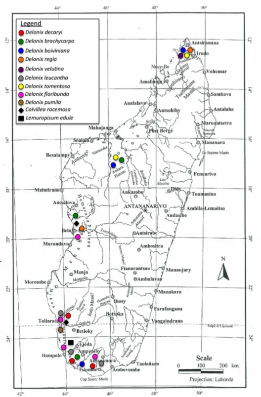 Figure  2.  Répartition  actuelle  des  espèces  des  genres  Delonix,  Colvillea  et  Lemuropisum  à  Madagascar