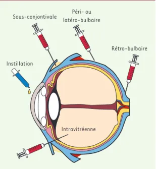 Figure  1. Voies  d’administration  oculaires  des  médicaments.