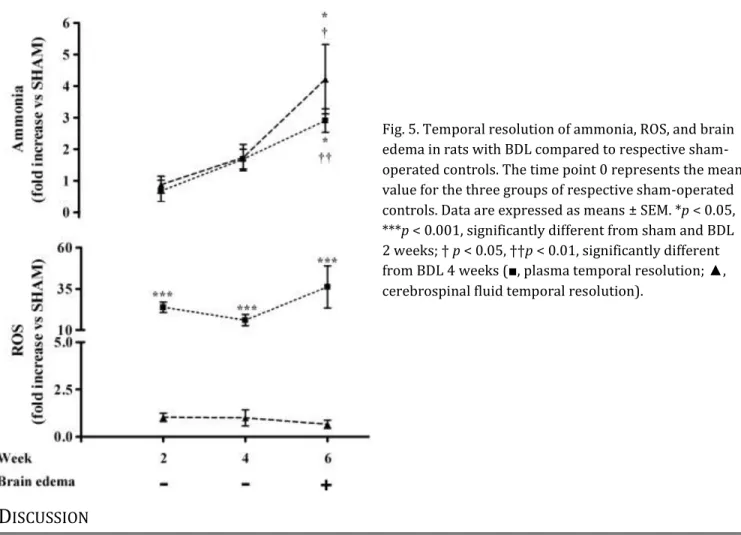 Fig. 5. Temporal resolution of ammonia, ROS, and brain  edema in rats with BDL compared to respective  sham-operated controls