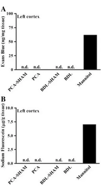 Fig. 3. Blood–brain barrier permeability to (A) Evans blue and  (B) sodium fluorescein in frontal cortex of rats with PCA and  BDL compared to respective sham-operated controls