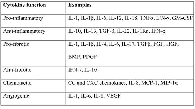 Table 3. Examples of cytokines classed according to their primary functions 169,170,178