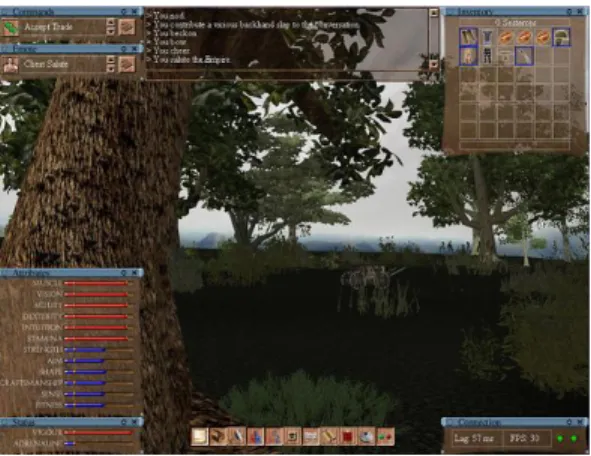 Figure 1. Original MMOG screenshot.