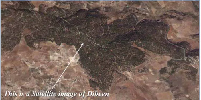 Figure 7- Vue Satellite de la Réserve Forestière de Dibeen. Photo: Google. 