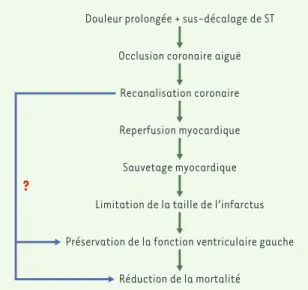 Figure  1. Modèle  conceptuel  du  traitement  des  syndromes coronariens avec sus-décalage du segment ST.