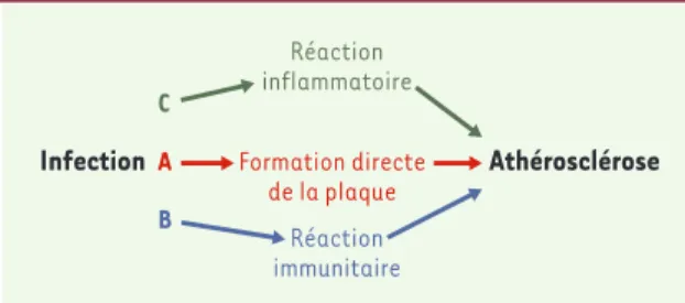 Figure  1. Liens  possibles  entre  infection  et  athérosclérose. 
