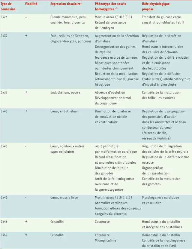 Tableau  I.  Phénotypes  observés  chez  des  souris  dont  les  gènes  codant  pour  certains  types  de  connexines  ont  été  invalidés