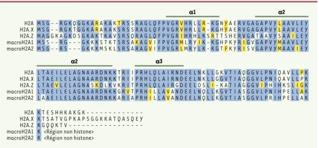 Figure 3. Comparaison des séquences des histones humaines de la famille H2A. Les résidus identiques sont figurés en bleu et les résidus similaires en jaune