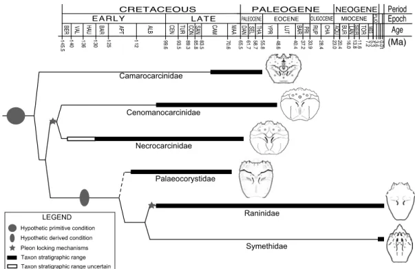 Figure 2.8. Chronostratigraphic distribution of the six known fossil and extant families within the Section  Raninoida, as indicated by their current First Appearance Datum (FAD) and Last Appearance Datum (LAD)