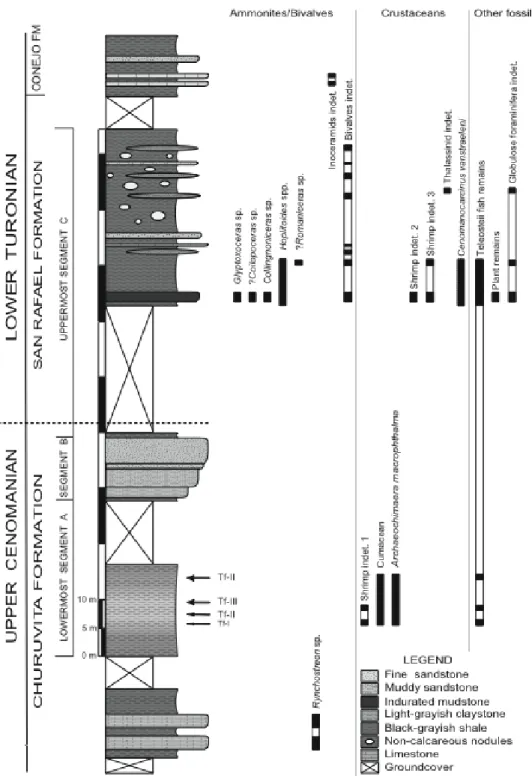 Figure 3.2. Stratigraphic column of the Cenomanian-Turonian Churuvita Group cropping out at the Nocuatá  Section, Department of Boyacá, Colombian Eastern Cordillera