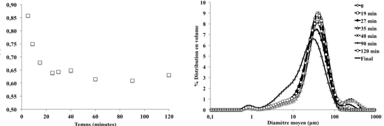 Figure 2. Concentration et distribution de taille du solide humide au cours du temps pour l’essai 2