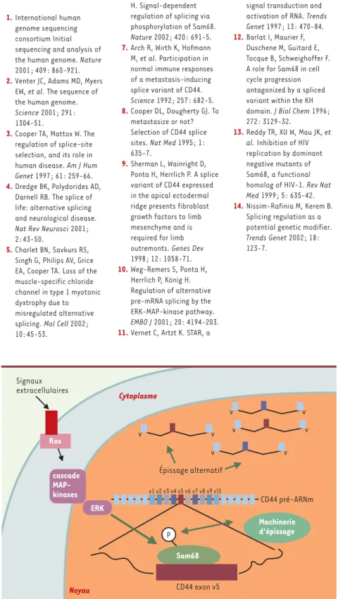 Figure 1. Transduction de signaux depuis la surface cellulaire à la machinerie d’épissage