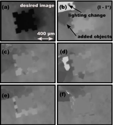 Fig. 7. Illustration of the efficiency of the proposed filtering method. (a) represents the variation of a line of an image at the times (t) and (t + 1) before the filtering method and (b) shows the variation of the same line at times (t) and (t + 1) after