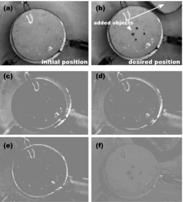 Figure 14 illustrates the achievement planar positioning task with the optical microscope magnification control