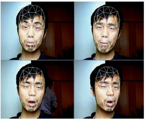 Fig.  6.  Real-time  3D  face  tracking.  Demonstration  videos  are  available  from  http://MyBlog3D.com