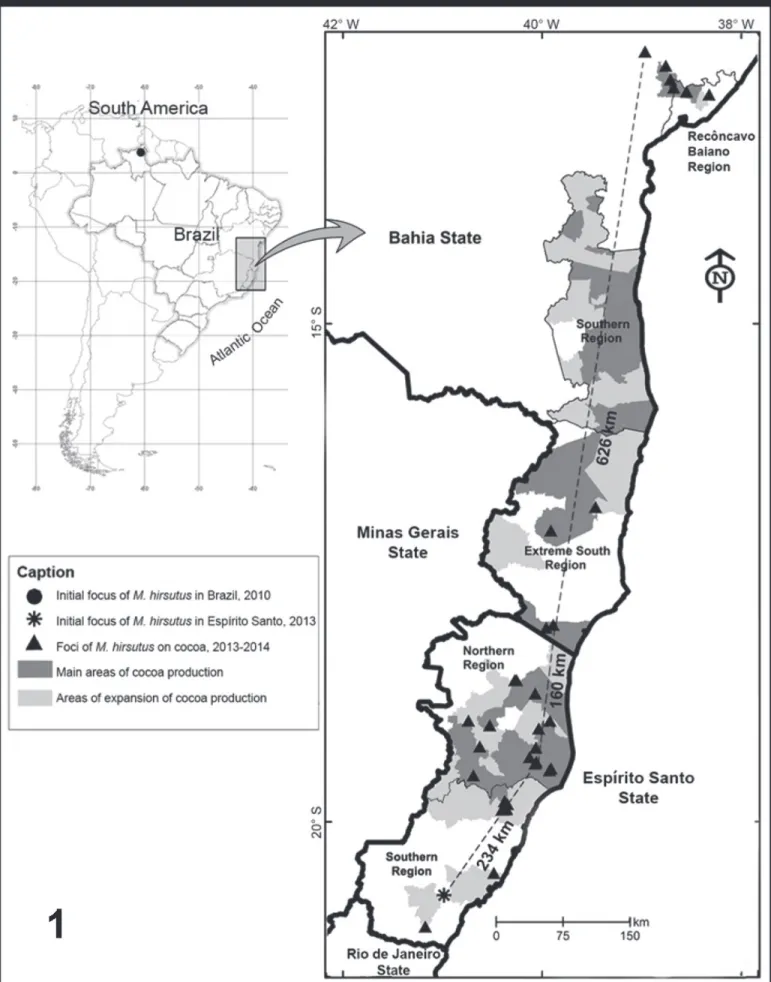 Fig. 1. Range of Maconellicoccus hirsutus in cocoa orchards in the states of Bahia and Espírito Santo, Brazil, Feb 2013 to Feb 2014.