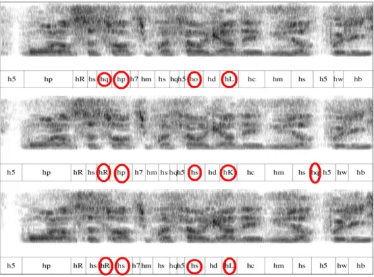 Figure 2: Advertisement spectrograms, taken from the radio broadcast corpus, with their ALISP transcriptions: first spectrogram is an excerpt from the reference advertisement, second one represents the same excerpt from French virgin radio and the last one