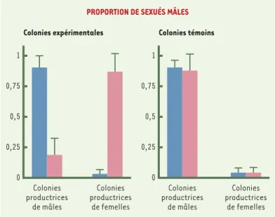 Figure 4. Le contrôle royal du sex-ratio chez la fourmi de feu. Les histogrammes représentent la proportion de sexués mâles obtenus dans les sociétés  spéciali-sées dans l’élevage des mâles ou dans l’élevage des femelles