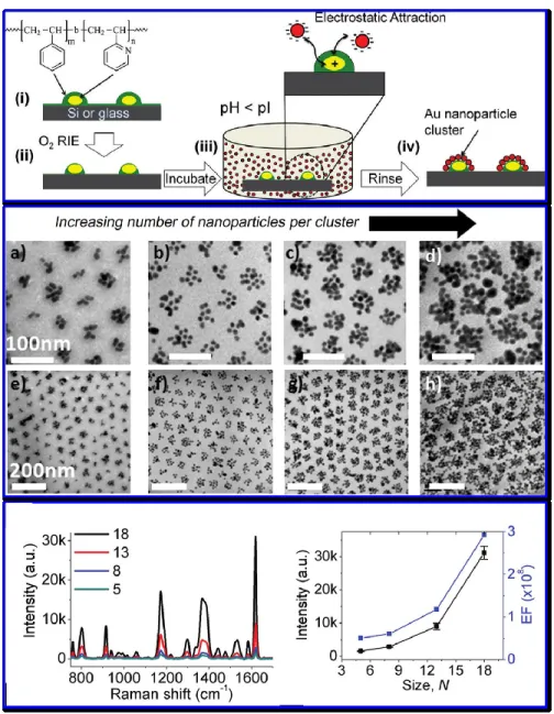 Figure 1.12. Top panel, schematic illustration of templating AuNP cluster arrays using PS- PS-b-P2VP  thin  films:  (i)  spin-coating  a  BCP  film;  (ii)  feature  size  reduction  by  oxygen  plasma reactive ion etching; (iii) incubation in AuNP  colloid