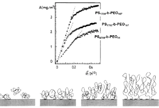 Figure 1.23. Top, adsorbed amount, A, of a series of PS x -b-PEO y  (x and y indicate degree  of polymerization) from 0.015 mg/mL toluene solutions onto Si as a function of adsorption  time, t
