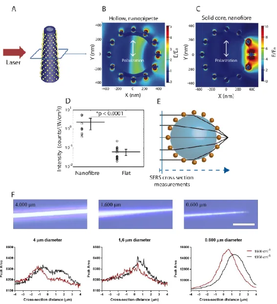 Figure 2.4. SERS performance of nanofibers modified with brush-layer templated AuNPs. 