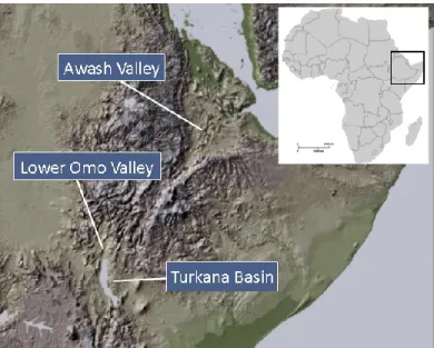 Figure 1. Map of the Awash Valley, lower Omo Valley and Turkana Basin in East Africa.