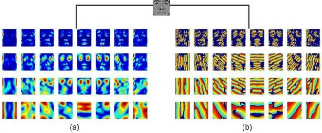 Figure 2 : Résultat de la convolution d’une image avec une famille de filtres de Gabor de 8 orientations  (horizontales) et 4 résolutions (verticales)