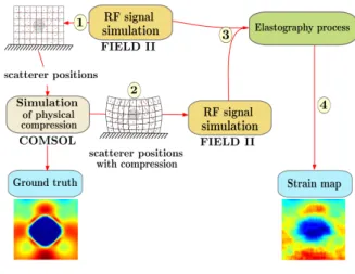 Fig. 5. Elastography simulation.