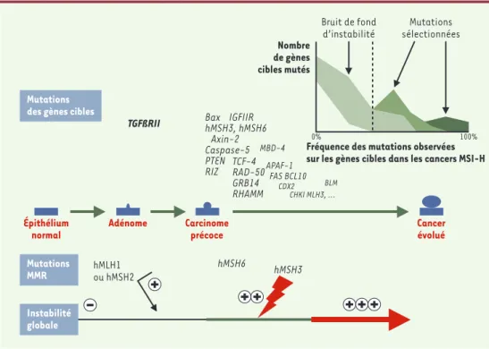 Figure 3. Les mutations affectant les gènes cibles de l’instabilité génétique des cancers du côlon MSI-H au cours de la progression tumorale