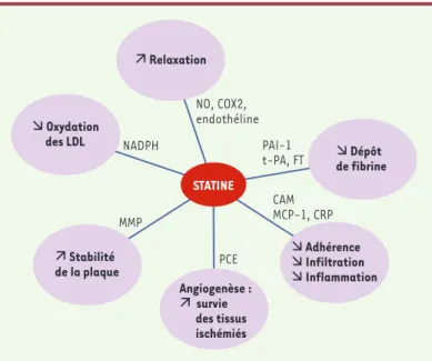 Figure 4. Effets pléiotropes vasculaires des statines. PAI-1 : inhibiteur des acti- acti-vateurs du plasminogène de type I ; t-PA : activateur du plasminogène  tissu-laire ; FT : facteur tissutissu-laire ; CAM : cellular adhesion molecules; MCP-1 : facteur