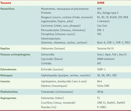 Tableau I. Exemples de taxons pour lesquels une ou plusieurs familles de SINE ont été identifiées (d’après [2, 11-13]).