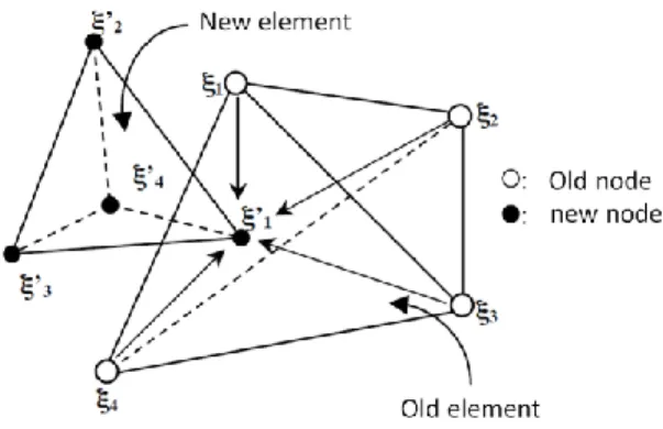 FIGURE  1.  The several steps data transfer operators P1