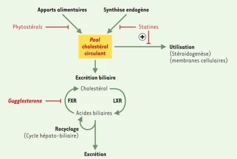 Figure 1. Représentation schématique des voies ciblées par les produits qui modulent la choles- choles-térolémie