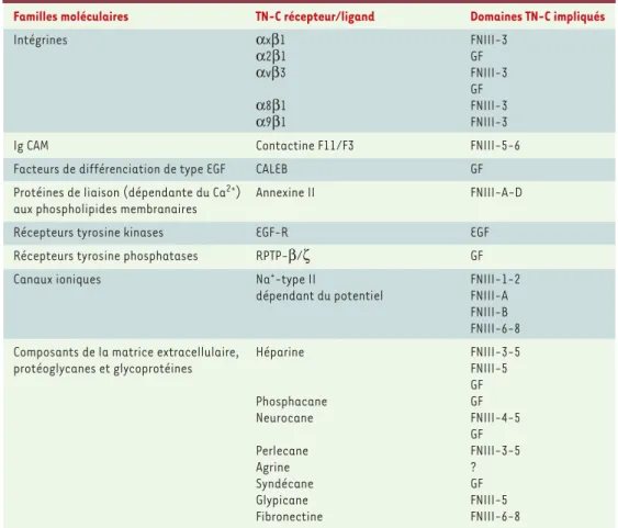 Tableau I. Récepteurs de la TN-C et domaines moléculaires impliqués.CAM : cell adhesion molecule ; CALEB : chic- chic-ken acidic leucine-rich EGF-like domain containing brain protein.