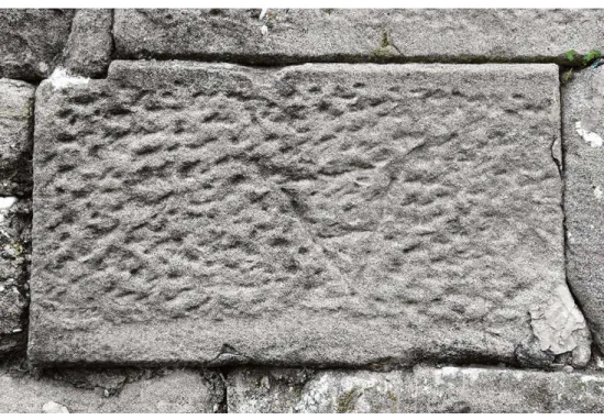 Fig. 7. Marque de carrier.