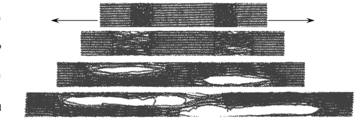 Figure 2: Evolution du système semi-cristallin au cours du temps ; a, état initial ; b,  λ   =  0.2;      