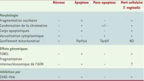 Tableau I. Principales caractéristiques morphologiques comparées de la nécrose, de l’apoptose, de la para-apoptose et de la mort cellulaire observées chez T