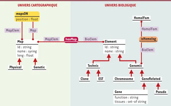 Figure 3. Modélisation des connaissances sur la cartographie comparée : modèle conceptuel