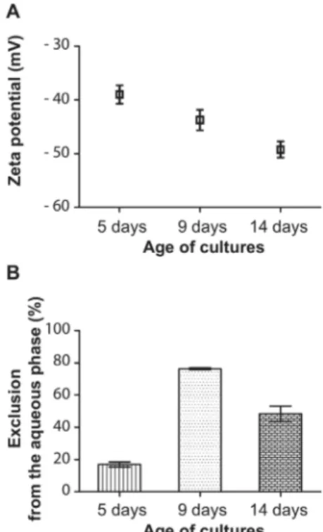 Figure 4. Transmission electron microscopy examination of conidia from cultures grown with or without melanin  inhibi-tors