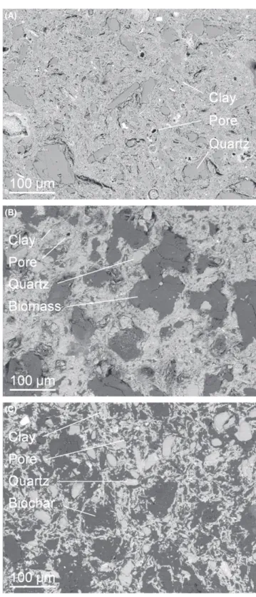 Figure 2. The biomass, composed of carbon, oxygen, and hydrogen elements transforms by pyrolysis 36 into CO, CO 2 , CH 4 , and H 2 , whose release induces a porosity increase of the clay ceramic