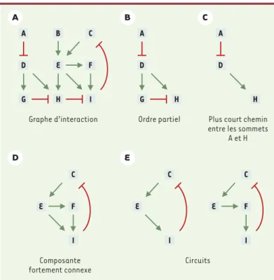 Figure 3. Illustration de quelques notions de la théorie des graphes. 