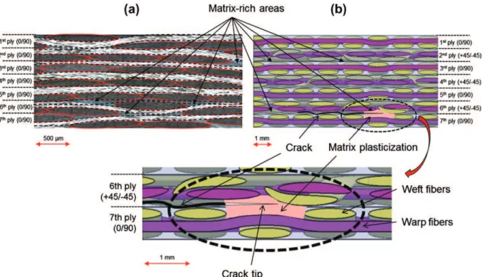 Fig. 12. (a) Edges microscopic observations of [0] 7 C/PPS laminates showing the specific intraply and interply structure of woven-ply laminates: matrix-rich areas and warp fiber bundles undulating over weft fiber bundles, and (b) matrix plasticization aro