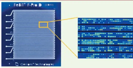 Figure 1. Le Geniom 1. Cette figure, reproduite avec l’aimable autorisation de FeBit, montre l’élément central de la machine Geniom 1, le DNA processor
