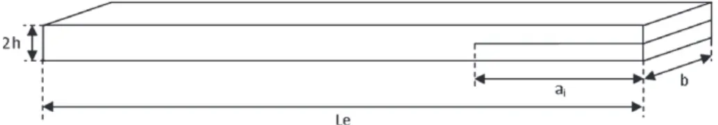 Fig. 1. Specimen geometry.