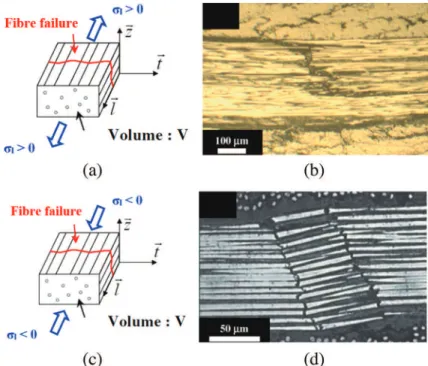 Fig. 9. Behavior law of the fiber in the longitudinal direction in tension and compression with damage initiation and propagation [17].