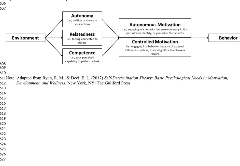Figure 2. Self-determination theory.
