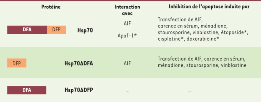 Figure 1. Domaines de la Hsp70 requis pour l’inhibition fonctionnelle de AIF, pour l’interaction avec AIF ou Apaf- Apaf-1 et pour l’inhibition de l’apoptose face à différents inducteurs