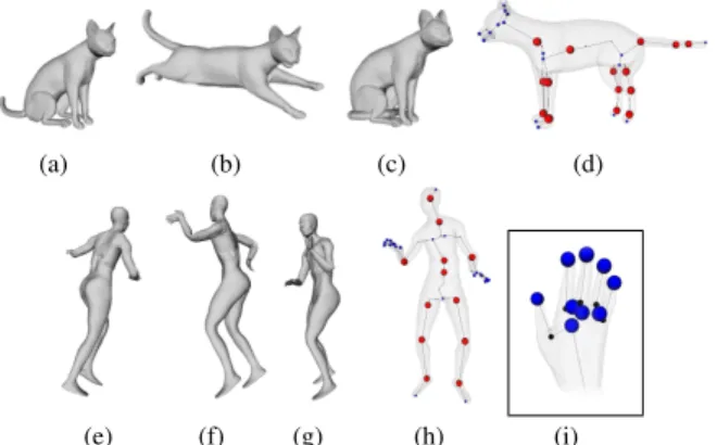 Figure 4. 3D dynamic surface meshes and their extracted kinematic skeletons.