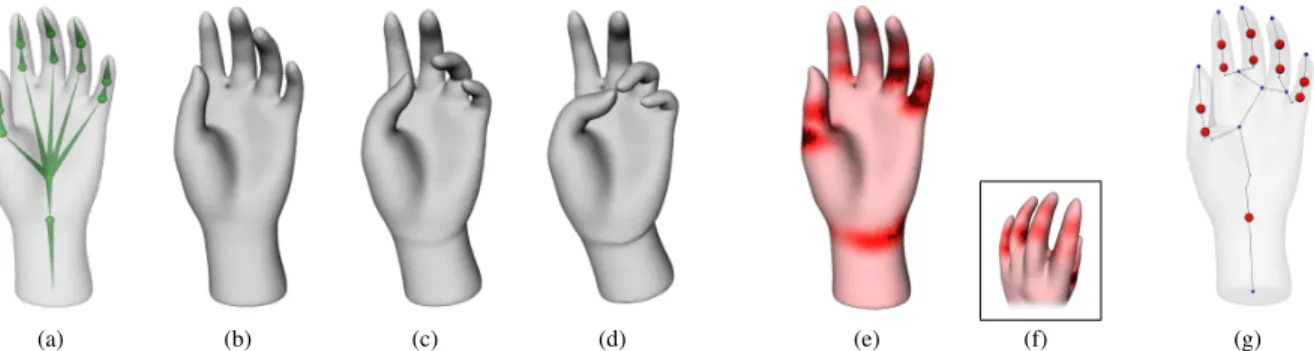 Figure 6. Animation reverse engineering: a dynamic surface mesh (6(b), 6(c), 6(d)) is gener- gener-ated from a predefined skeleton of a static mesh (6(a))